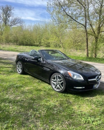Mercedes-Benz SLK cena 130000 przebieg: 24000, rok produkcji 2013 z Łódź małe 56